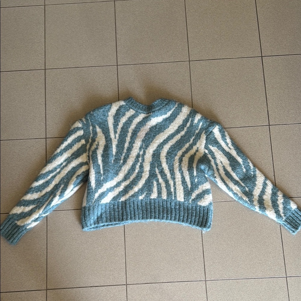Zara Blue and White Crew Neck Sweater with Zebra Stripes